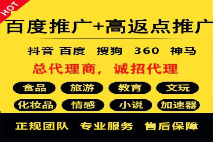 某品牌通过百度广告实现快速增长的案例